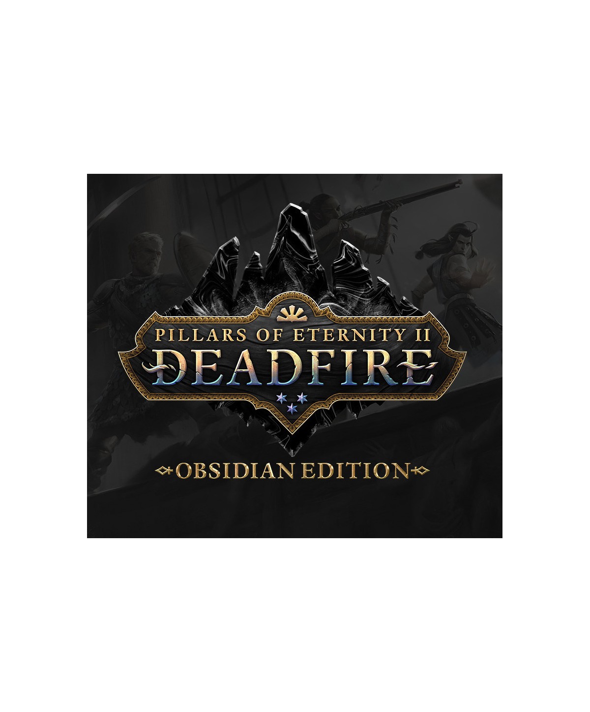 Pillars of Eternity II: Deadfire Obsidian Edition Steam Key EUROPE